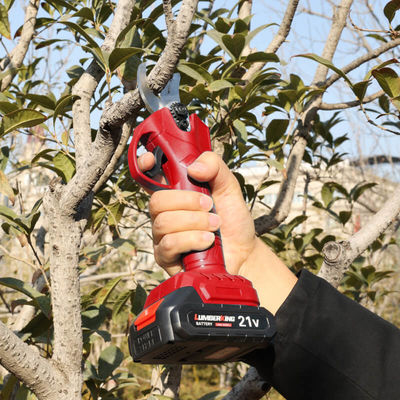Electric High Branch Pruning Set Lithium Battery Cordless Handheld Telescopic Pole Tree Branch Pruning Shear Pruner