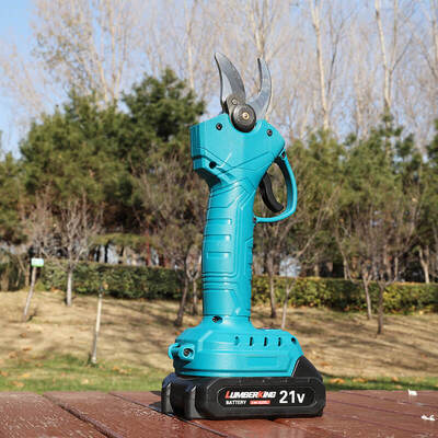 Επαγγελματικά ψαλίδια ηλεκτρικού ψαλίδου, χωρίς βούρτσα 25V